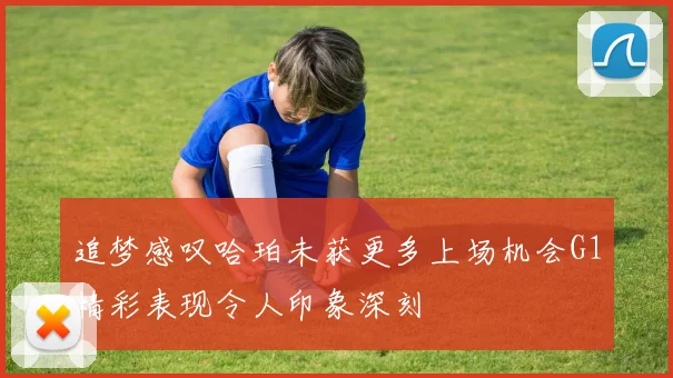 追梦感叹哈珀未获更多上场机会G1精彩表现令人印象深刻