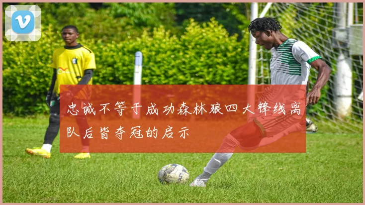 忠诚不等于成功森林狼四大锋线离队后皆夺冠的启示